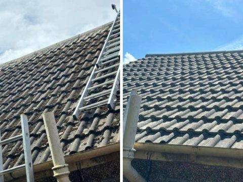 Roof Cleans