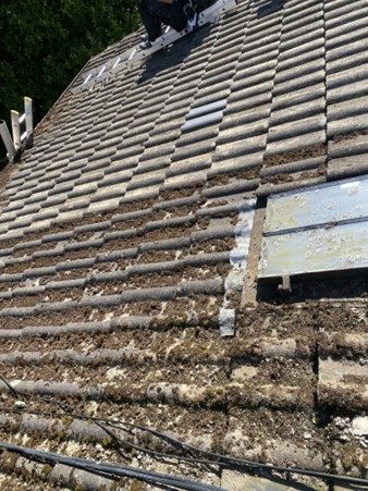 Why Hire a Professional Roof Cleaning Contractor?