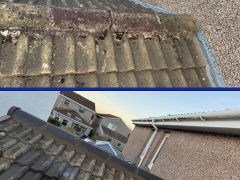Roof Repair